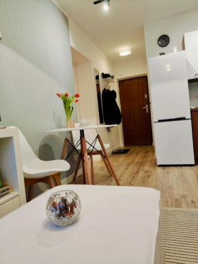 Apartament Przy Teatrze
